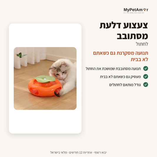 צעצוע דלעת — היתרונות העיקריים
