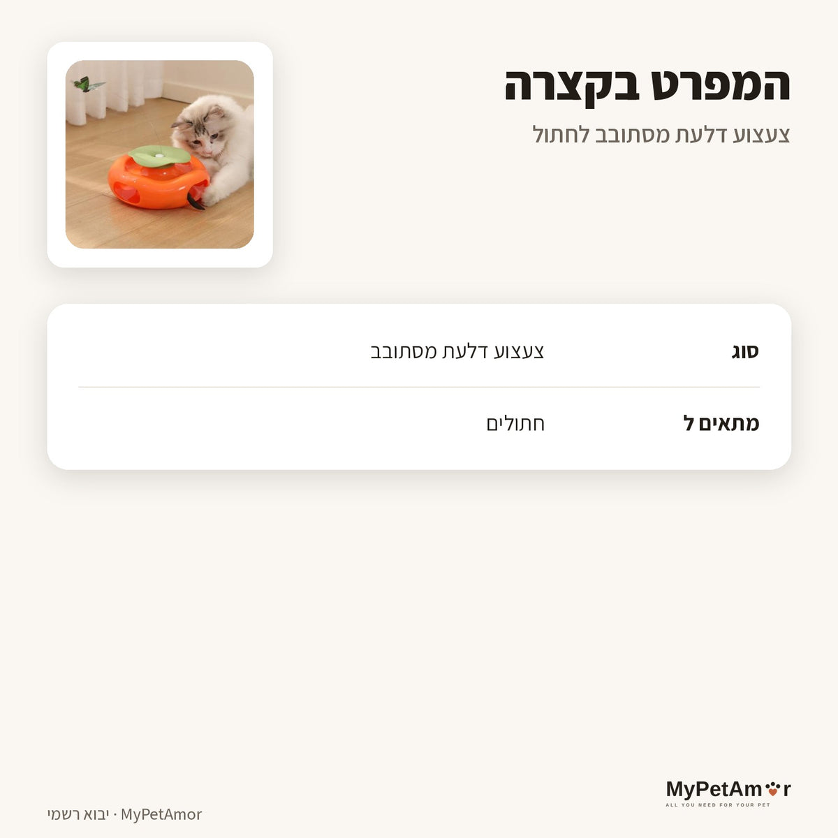 צעצוע דלעת — המפרט בקצרה