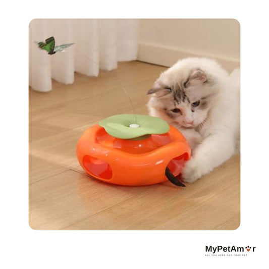 MyPetAmor צעצוע דלעת מסתובב לחתול
